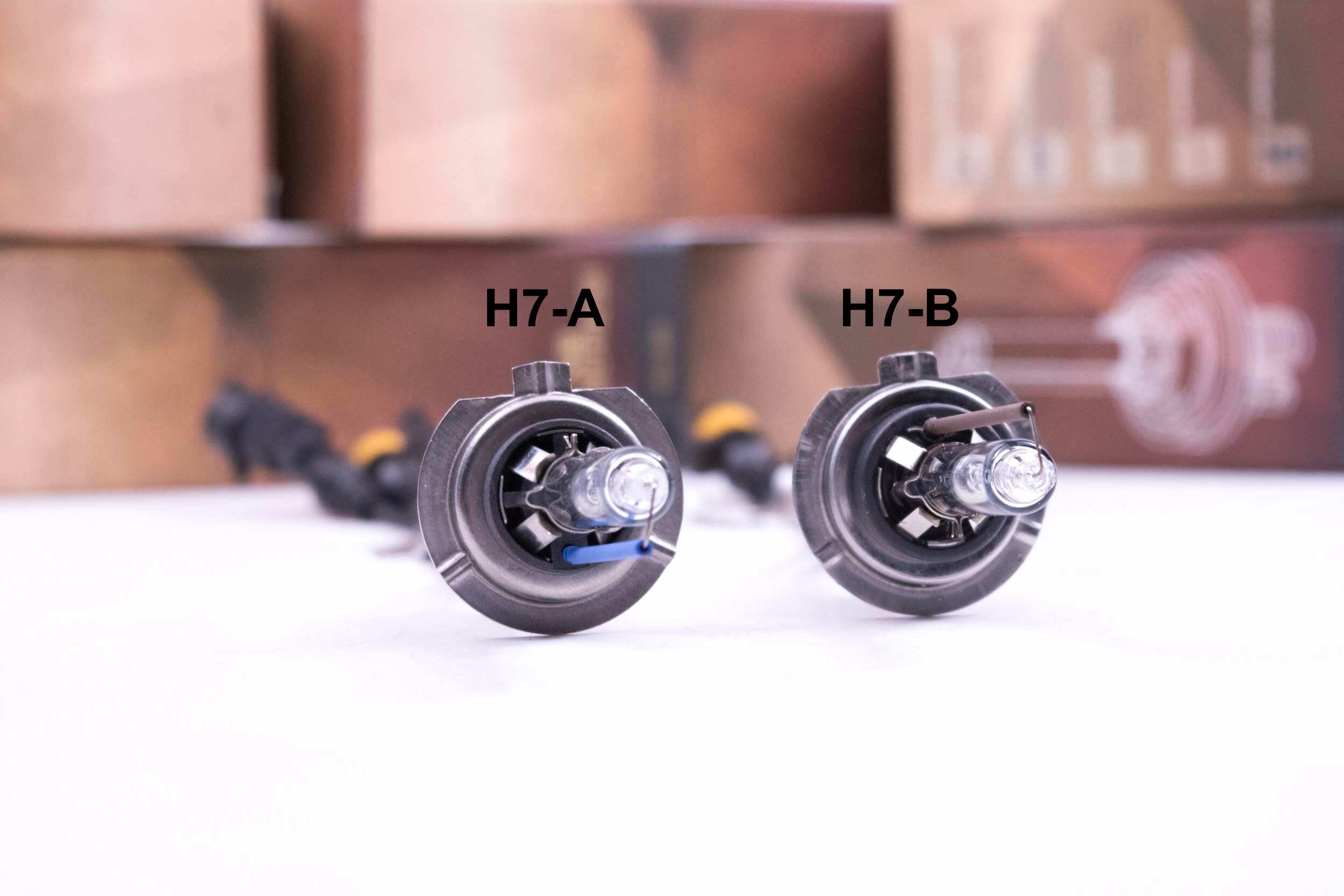 H7 hid outlet bulb